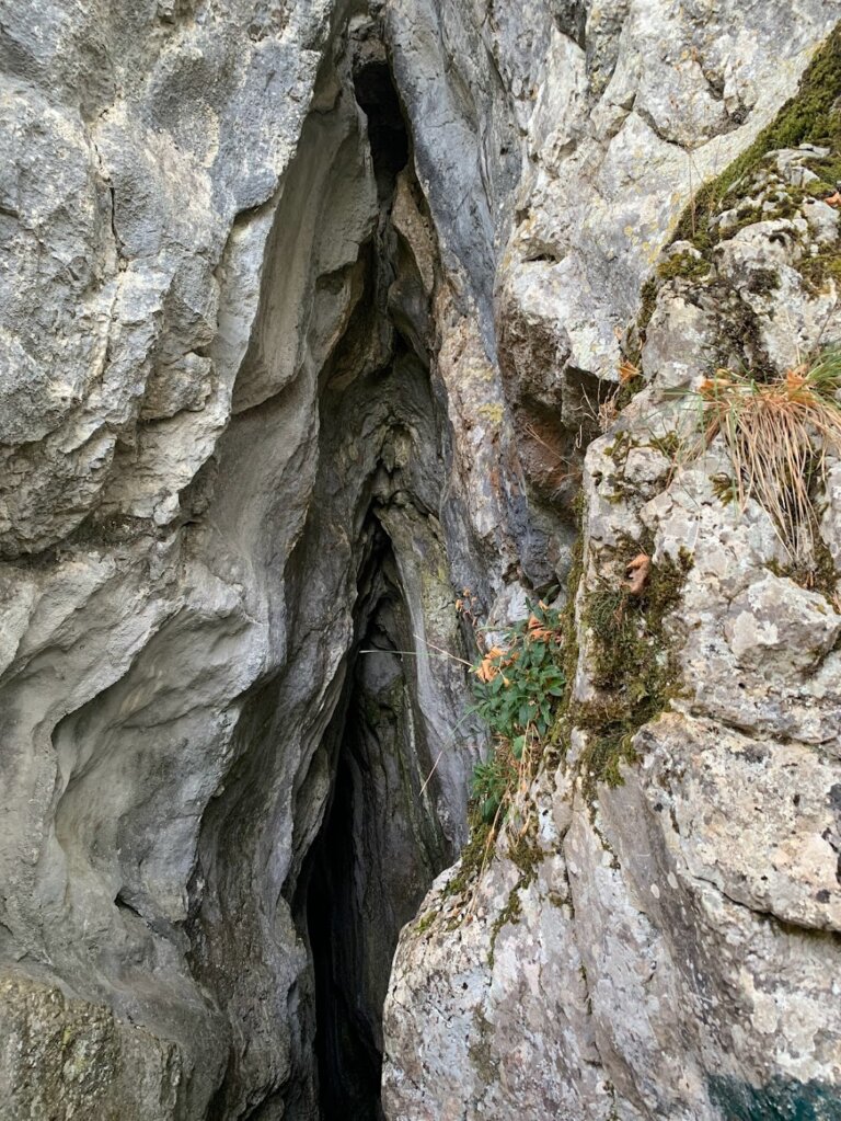 IMG 2024 768x1023