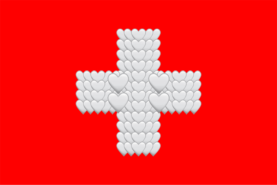 young swiss bachelor cross logo